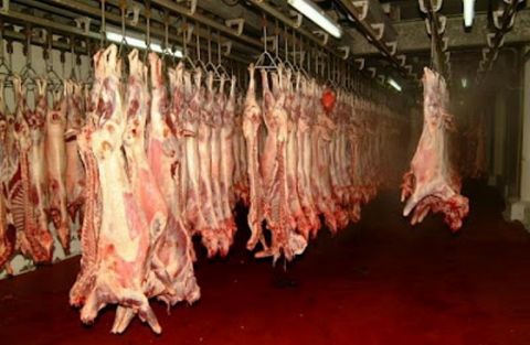 &Sigma;&upsilon;&gamma;&kappa;&rho;&omicron;&tau;ή&theta;&eta;&kappa;&epsilon; &eta; &Omicron;&mu;ά&delta;&alpha; &Epsilon;&rho;&gamma;&alpha;&sigma;ί&alpha;&sigmaf; &gamma;&iota;&alpha; &epsilon;&lambda;έ&gamma;&chi;&omicron;&upsilon;&sigmaf; &epsilon;&iota;&sigma;&alpha;&gamma;&omicron;&mu;έ&nu;&omega;&nu; &alpha;&mu;&nu;&omicron;&epsilon;&rho;&iota;&phi;ί&omega;&nu; &kappa;&alpha;&iota; &alpha;&pi;&omicron;&tau;&rho;&omicron;&pi;ή&sigmaf; &tau;&omega;&nu; &laquo;&epsilon;&lambda;&lambda;&eta;&nu;&omicron;&pi;&omicron;&iota;ή&sigma;&epsilon;&omega;&nu;&raquo;