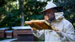 &Omicron;&iota; &Mu;&epsilon;&lambda;&iota;&sigma;&sigma;&omicron;&kappa;ό&mu;&omicron;&iota; &tau;&eta;&sigmaf; &Lambda;ά&rho;&iota;&sigma;&alpha;&sigmaf; &beta;&rho;ά&beta;&epsilon;&upsilon;&sigma;&alpha;&nu; &tau;&omicron;&nu; &Kappa;. &Alpha;&gamma;&omicron;&rho;&alpha;&sigma;&tau;ό &gamma;&iota;&alpha; &tau;&eta; &delta;&iota;&alpha;&chi;&rho;&omicron;&nu;&iota;&kappa;ή &sigma;&tau;ή&rho;&iota;&xi;&eta; &tau;&eta;&sigmaf; &Pi;&epsilon;&rho;&iota;&phi;έ&rho;&epsilon;&iota;&alpha;&sigmaf;