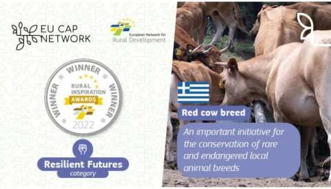 &Delta;ύ&omicron; &epsilon;&lambda;&lambda;&eta;&nu;&iota;&kappa;ά έ&rho;&gamma;&alpha; &Pi;&Alpha;&Alpha; &beta;&rho;&alpha;&beta;&epsilon;ύ&tau;&eta;&kappa;&alpha;&nu; &sigma;&tau;&omicron;&nu; &epsilon;&upsilon;&rho;&omega;&pi;&alpha;ϊ&kappa;ό &delta;&iota;&alpha;&gamma;&omega;&nu;&iota;&sigma;&mu;ό RIA 2022 &sigma;&tau;&iota;&sigmaf; &Beta;&rho;&upsilon;&xi;έ&lambda;&lambda;&epsilon;&sigmaf;