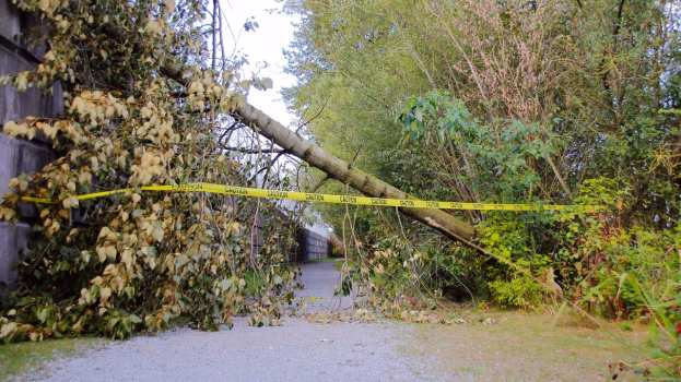 &Epsilon;&pi;&iota;&kappa;ί&nu;&delta;&upsilon;&nu;&alpha; &kappa;&alpha;&iota;&rho;&iota;&kappa;ά &phi;&alpha;&iota;&nu;ό&mu;&epsilon;&nu;&alpha;: &Omicron;&delta;&eta;&gamma;ί&epsilon;&sigmaf; &pi;&rho;&omicron;&sigmaf; &tau;&omicron;&upsilon;&sigmaf; &pi;&omicron;&lambda;ί&tau;&epsilon;&sigmaf; &alpha;&pi;ό &tau;&eta;&nu; &Pi;&epsilon;&rho;&iota;&phi;έ&rho;&epsilon;&iota;&alpha; &Kappa;&epsilon;&nu;&tau;&rho;&iota;&kappa;ή&sigmaf; &Mu;&alpha;&kappa;&epsilon;&delta;&omicron;&nu;ί&alpha;&sigmaf;