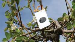 &Sigma;&upsilon;&nu;&epsilon;&chi;ί&zeta;&epsilon;&tau;&alpha;&iota; &eta; &epsilon;&phi;&alpha;&rho;&mu;&omicron;&gamma;ή &tau;&omicron;&upsilon; &Kappa;&Omicron;&Mu;&Phi;&Omicron;&Upsilon;&Zeta;&Iota;&Omicron; &mu;έ&sigma;&omega; &tau;&omega;&nu; &nu;έ&omega;&nu; &Delta;&eta;&lambda;ώ&sigma;&epsilon;&omega;&nu; &tau;&omicron;&upsilon; &Omicron;&Sigma;&Delta;&Epsilon;