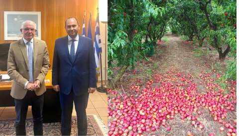 &Beta;&rho;&omicron;&chi;&omicron;&pi;&tau;ώ&sigma;&epsilon;&iota;&sigmaf;-&Pi;&omicron;&iota;&kappa;&iota;&lambda;ί&epsilon;&sigmaf;: &Omicron;&lambda;&omicron;&kappa;&lambda;&eta;&rho;ώ&theta;&eta;&kappa;&epsilon; &eta; έ&kappa;&theta;&epsilon;&sigma;&eta; &tau;&omicron;&upsilon; &Epsilon;&Lambda;&Gamma;&Alpha; &pi;&rho;&omicron;&sigmaf; &tau;&omicron; &Upsilon;&Pi;&Alpha;&Alpha;&Tau; - &Sigma;&upsilon;&nu;ά&nu;&tau;&eta;&sigma;&eta; &Beta;&alpha;&sigma;&iota;&lambda;&epsilon;&iota;ά&delta;&eta; &mu;&epsilon; &tau;&omicron;&nu; &Pi;&rho;ό&epsilon;&delta;&rho;&omicron; &tau;&omicron;&upsilon; &Epsilon;&Lambda;&Gamma;&Alpha;