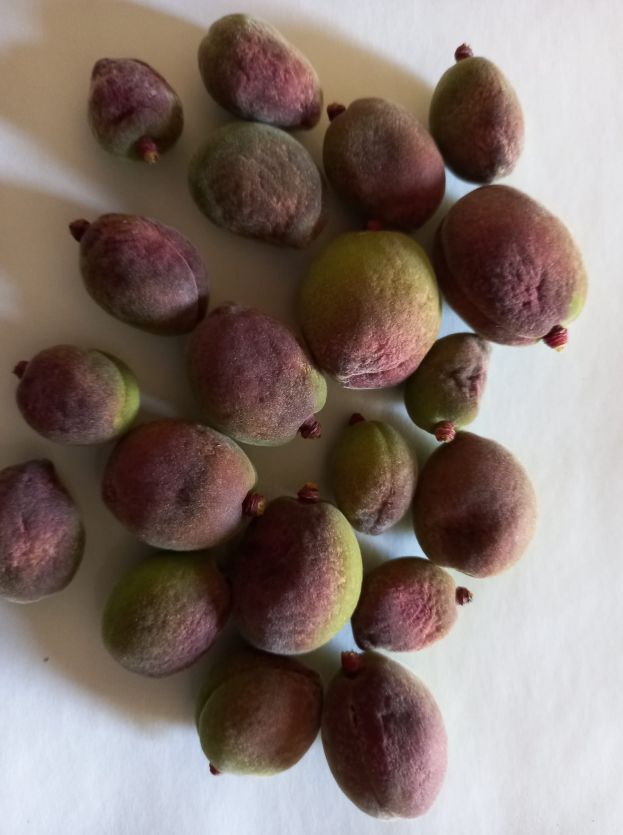 &Epsilon;&pi;ί&sigma;&pi;&epsilon;&upsilon;&sigma;&eta; &tau;&omega;&nu; &delta;&iota;&alpha;&delta;&iota;&kappa;&alpha;&sigma;&iota;ώ&nu; &gamma;&iota;&alpha; &tau;&iota;&sigmaf; &alpha;&pi;&omicron;&zeta;&eta;&mu;&iota;ώ&sigma;&epsilon;&iota;&sigmaf; &sigma;&tau;&omicron;&upsilon;&sigmaf; &pi;&alpha;&rho;&alpha;&gamma;&omega;&gamma;&omicron;ύ&sigmaf; &alpha;&pi;ό &tau;&omicron;&nu; &pi;&alpha;&gamma;&epsilon;&tau;ό &zeta;&eta;&tau;ά &omicron; &delta;ή&mu;&alpha;&rho;&chi;&omicron;&sigmaf; &Nu;ά&omicron;&upsilon;&sigma;&alpha;&sigmaf;