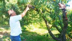 &Pi;&omicron;&iota;&epsilon;&sigmaf; &omicron;&iota; &upsilon;&pi;&omicron;&chi;&rho;&epsilon;ώ&sigma;&epsilon;&iota;&sigmaf; &alpha;&gamma;&rho;&omicron;&tau;ώ&nu; &kappa;&alpha;&iota; &kappa;&tau;&eta;&nu;&omicron;&tau;&rho;ό&phi;&omega;&nu; &sigma;&tau;&alpha; &pi;&lambda;&alpha;ί&sigma;&iota;&alpha; &tau;&eta;&sigmaf; &pi;&omicron;&lambda;&lambda;&alpha;&pi;&lambda;ή&sigmaf; &sigma;&upsilon;&mu;ό&rho;&phi;&omega;&sigma;&eta;&sigmaf;