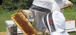 &Delta;&omega;&rho;&epsilon;ά&nu; &epsilon;&kappa;&pi;&alpha;ί&delta;&epsilon;&upsilon;&sigma;&eta; &mu;&epsilon;&lambda;&iota;&sigma;&sigma;&omicron;&kappa;&omicron;&mu;ί&alpha;&sigmaf; &alpha;&pi;ό &tau;&omicron;&nu; &Epsilon;&Lambda;&Gamma;&Omicron; "&Delta;ή&mu;&eta;&tau;&rho;&alpha;"