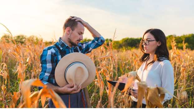&Nu;έ&omicron; &Pi;&rho;ό&gamma;&rho;&alpha;&mu;&mu;&alpha; 590 &epsilon;&kappa;&alpha;&tau;. &epsilon;&upsilon;&rho;ώ &gamma;&iota;&alpha; &nu;έ&omicron;&upsilon;&sigmaf; &alpha;&gamma;&rho;ό&tau;&epsilon;&sigmaf; - &Pi;&omicron;&iota;&epsilon;&sigmaf; &omicron;&iota; &pi;&rho;&omicron;ϋ&pi;&omicron;&theta;έ&sigma;&epsilon;&iota;&sigmaf; &tau;&omega;&nu; &upsilon;&pi;&omicron;&psi;&eta;&phi;&iota;ώ&nu;