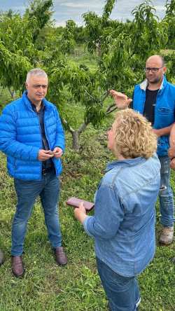 &Epsilon;&pi;&iota;&kappa;&omicron;&iota;&nu;&omega;&nu;ί&alpha; &Tau;&sigma;&alpha;&beta;&delta;&alpha;&rho;ί&delta;&eta; &mu;&epsilon; &Epsilon;&Lambda;&Gamma;&Alpha; &kappa;&alpha;&iota; &Upsilon;&Pi;&Alpha;&Alpha;&Tau; &gamma;&iota;&alpha; &tau;&iota;&sigmaf; &chi;&alpha;&lambda;&alpha;&zeta;&omicron;&pi;&tau;ώ&sigma;&epsilon;&iota;&sigmaf; &pi;&omicron;&upsilon; έ&pi;&lambda;&eta;&xi;&alpha;&nu; &tau;&iota;&sigmaf; &kappa;&alpha;&lambda;&lambda;&iota;έ&rho;&gamma;&epsilon;&iota;&epsilon;&sigmaf; &sigma;&tau;&eta;&nu; &Eta;&mu;&alpha;&theta;ί&alpha;