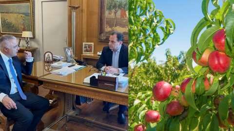 &Alpha;ύ&rho;&iota;&omicron; &omicron;&iota; &alpha;&nu;&alpha;&kappa;&omicron;&iota;&nu;ώ&sigma;&epsilon;&iota;&sigmaf; &gamma;&iota;&alpha; &epsilon;&nu;&iota;&sigma;&chi;ύ&sigma;&epsilon;&iota;&sigmaf; De minimis &sigma;&epsilon; &rho;&omicron;&delta;ά&kappa;&iota;&nu;&alpha; &kappa;&alpha;&iota; &beta;&epsilon;&rho;ί&kappa;&omicron;&kappa;&alpha;