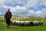 &Epsilon;&pi;ί&theta;&epsilon;&sigma;&eta; &Pi;&alpha;&nu;&epsilon;&lambda;&lambda;ή&nu;&iota;&alpha;&sigmaf; Έ&nu;&omega;&sigma;&eta;&sigmaf; &Kappa;&tau;&eta;&nu;&omicron;&tau;&rho;ό&phi;&omega;&nu; &sigma;&tau;&omicron;&nu; &Upsilon;&pi;&omicron;&upsilon;&rho;&gamma;ό &kappa;. &Alpha;&pi;&omicron;&sigma;&tau;ό&lambda;&omicron;&upsilon;