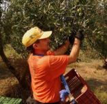 &Upsilon;&Pi;&Alpha;&Alpha;&Tau;: &Pi;&alpha;&rho;ά&tau;&alpha;&sigma;&eta; &pi;&rho;&omicron;&sigma;&omega;&rho;&iota;&nu;ή&sigmaf; &alpha;&pi;&alpha;&sigma;&chi;ό&lambda;&eta;&sigma;&eta;&sigmaf; &epsilon;&rho;&gamma;&alpha;&tau;ώ&nu; &gamma;&eta;&sigmaf; &gamma;&iota;&alpha; &epsilon;&pi;&iota;&pi;&lambda;έ&omicron;&nu; 90 &eta;&mu;έ&rho;&epsilon;&sigmaf; &chi;&omega;&rho;ί&sigmaf; &kappa;ό&sigma;&tau;&eta; &kappa;&alpha;&iota; &epsilon;&pi;&iota;&beta;&alpha;&rho;ύ&nu;&sigma;&epsilon;&iota;&sigmaf;