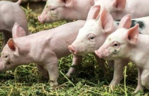 &Epsilon;&kappa;&delta;ό&theta;&eta;&kappa;&epsilon; &eta; &alpha;&pi;ό&phi;&alpha;&sigma;&eta; &pi;&omicron;&upsilon; &kappa;&alpha;&theta;&omicron;&rho;ί&zeta;&epsilon;&iota; &tau;&omicron; &theta;&epsilon;&sigma;&mu;&iota;&kappa;ό &pi;&lambda;&alpha;ί&sigma;&iota;&omicron; &epsilon;&phi;&alpha;&rho;&mu;&omicron;&gamma;ή&sigmaf; &gamma;&iota;&alpha; &tau;&omicron; &Upsilon;&pi;&omicron;&mu;έ&tau;&rho;&omicron; 14.1 &laquo;&Epsilon;&upsilon;&zeta;&omega;ί&alpha; &tau;&omega;&nu; &Chi;&omicron;ί&rho;&omega;&nu; &epsilon;&nu;&sigma;&tau;&alpha;&beta;&lambda;&iota;&sigma;&mu;έ&nu;&eta;&sigmaf; &epsilon;&kappa;&tau;&rho;&omicron;&phi;ή&sigmaf;&raquo; &pi;&rho;&omicron;ϋ&pi;&omicron;&lambda;&omicron;&gamma;&iota;&sigma;&mu;&omicron;ύ 25 &epsilon;&kappa;&alpha;&tau;. &euro;