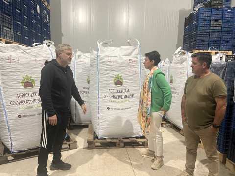 &Mu;&alpha;&rho;ί&alpha; &Gamma;&alpha;&lambda;&lambda;&iota;&omicron;ύ &alpha;&pi;ό &tau;&eta; &Mu;&epsilon;&lambda;ί&beta;&omicron;&iota;&alpha;: &Sigma;&tau;&omicron; &epsilon;&pi;ί&kappa;&epsilon;&nu;&tau;&rho;&omicron; &eta; &kappa;&alpha;&sigma;&tau;&alpha;&nu;&omicron;&pi;&alpha;&rho;&alpha;&gamma;&omega;&gamma;ή &kappa;&alpha;&iota; &eta; &alpha;&nu;&alpha;&gamma;&nu;ώ&rho;&iota;&sigma;&eta; &tau;&omicron;&upsilon; &kappa;ά&sigma;&tau;&alpha;&nu;&omicron;&upsilon; &Mu;&epsilon;&lambda;ί&beta;&omicron;&iota;&alpha;&sigmaf; &omega;&sigmaf; &Pi;&Omicron;&Pi;