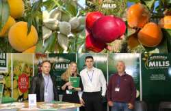 &Nu;έ&epsilon;&sigmaf; &pi;&omicron;&iota;&kappa;&iota;&lambda;ί&epsilon;&sigmaf; &omicron;&pi;&omega;&rho;&omicron;&phi;ό&rho;&omega;&nu; &delta;έ&nu;&tau;&rho;&omega;&nu; &pi;&alpha;&rho;&omicron;&upsilon;&sigma;ί&alpha;&sigma;&epsilon; &sigma;&tau;&eta;&nu; Agrothessaly &eta; &epsilon;&tau;&alpha;&iota;&rho;&epsilon;ί&alpha; Milis Nurseries