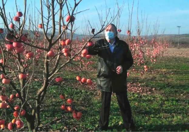 &Sigma;&upsilon;&nu;ά&nu;&tau;&eta;&sigma;&eta; &Kappa;&alpha;&rho;&alpha;&sigma;&mu;ά&nu;&eta; &mu;&epsilon; &Sigma;&kappa;&upsilon;&lambda;&alpha;&kappa;ά&kappa;&eta; &gamma;&iota;&alpha; &alpha;&pi;&omicron;&zeta;&eta;&mu;&iota;ώ&sigma;&epsilon;&iota;&sigmaf;&uml;&Sigma;&Omicron;&Upsilon;&Pi;&Epsilon;&Rho;&Iota;&Omicron;&Rho; &Kappa;&rho;ύ&alpha;&sigmaf; &Beta;&rho;ύ&sigma;&eta;&sigmaf;&uml;, ό&psi;&iota;&mu;&omicron; Έ&delta;&epsilon;&sigma;&sigma;&alpha;&sigmaf; &amp; &lambda;&omega;&tau;&omicron;ύ&sigmaf; &gamma;&iota;&alpha; &tau;&iota;&sigmaf; &zeta;&eta;&mu;&iota;έ&sigmaf; &alpha;&pi;ό &tau;&eta;&nu; &pi;&alpha;&nu;&delta;&eta;&mu;ί&alpha;