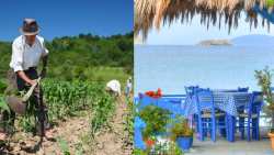 &Mu;&epsilon;&gamma;ά&lambda;&omicron; &pi;&rho;ό&beta;&lambda;&eta;&mu;&alpha; &eta; έ&lambda;&lambda;&epsilon;&iota;&psi;&eta; &epsilon;&rho;&gamma;&alpha;&tau;ώ&nu; &sigma;&epsilon; &pi;&rho;&omega;&tau;&omicron;&gamma;&epsilon;&nu;ή, &tau;&omicron;&upsilon;&rho;&iota;&sigma;&tau;&iota;&kappa;ό &kappa;&alpha;&iota; &kappa;&alpha;&tau;&alpha;&sigma;&kappa;&epsilon;&upsilon;&alpha;&sigma;&tau;&iota;&kappa;ό &kappa;&lambda;ά&delta;&omicron; &sigma;&tau;&eta;&nu; &Kappa;&rho;ή&tau;&eta;