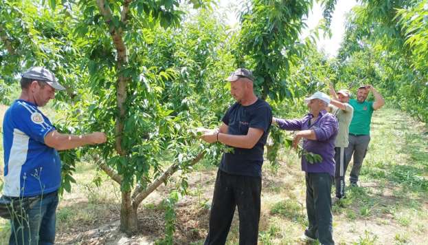 &Epsilon;&rho;&gamma;ά&tau;&epsilon;&sigmaf; &gamma;&eta;&sigmaf;: &Sigma;&upsilon;&mu;&phi;&omega;&nu;ί&alpha; &Epsilon;&lambda;&lambda;ά&delta;&alpha;&sigmaf;-&Alpha;&iota;&gamma;ύ&pi;&tau;&omicron;&upsilon; - Έ&rho;&chi;&omicron;&nu;&tau;&alpha;&iota; 5000 &epsilon;&rho;&gamma;ά&tau;&epsilon;&sigmaf;