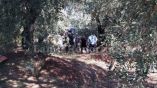 &Kappa;&alpha;&tau;&alpha;&pi;&lambda;&alpha;&kappa;ώ&theta;&eta;&kappa;&epsilon; &alpha;&pi;ό &tau;&rho;&alpha;&kappa;&tau;έ&rho; &sigma;&tau;&eta;&nu; &Kappa;ά&tau;&omega; &Sigma;&pi;&alpha;&rho;&tau;&iota;ά &Phi;&theta;&iota;ώ&tau;&iota;&delta;&alpha;&sigmaf; - &Epsilon;&pi;&iota;&chi;&epsilon;ί&rho;&eta;&sigma;&eta; &alpha;&pi;&epsilon;&gamma;&kappa;&lambda;&omega;&beta;&iota;&sigma;&mu;&omicron;ύ (&Phi;&Omega;&Tau;&Omicron;)