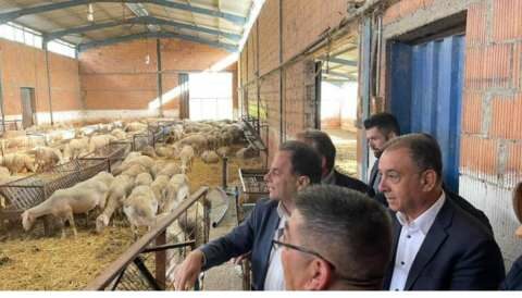 &Upsilon;&pi;&Alpha;&Alpha;&Tau;: &Eta; &epsilon;&nu;ί&sigma;&chi;&upsilon;&sigma;&eta; &sigma;&tau;&omicron;&upsilon;&sigmaf; &kappa;&tau;&eta;&nu;&omicron;&tau;&rho;ό&phi;&omicron;&upsilon;&sigmaf; &theta;&alpha; &sigma;&upsilon;&nu;&delta;&epsilon;&theta;&epsilon;ί &mu;&epsilon; &tau;&omicron;&nu; &alpha;&rho;&iota;&theta;&mu;ό &zeta;ώ&omega;&nu; &kappa;&alpha;&iota; &tau;&eta;&nu; &pi;&rho;&alpha;&gamma;&mu;&alpha;&tau;&iota;&kappa;ή &pi;&alpha;&rho;&alpha;&gamma;&omega;&gamma;ή