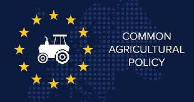 &Sigma;&tau;. &Alpha;&rho;&alpha;&chi;&omega;&beta;ί&tau;&eta;&sigmaf;: &Omicron; &mu;&epsilon;&gamma;ά&lambda;&omicron;&sigmaf; &kappa;ί&nu;&delta;&upsilon;&nu;&omicron;&sigmaf; &kappa;&rho;ύ&beta;&epsilon;&tau;&alpha;&iota; &sigma;&tau;&iota;&sigmaf; &lambda;&epsilon;&pi;&tau;&omicron;&mu;έ&rho;&epsilon;&iota;&epsilon;&sigmaf; &tau;&eta;&sigmaf; &Nu;έ&alpha;&sigmaf; &Kappa;&Alpha;&Pi; 2023-2027