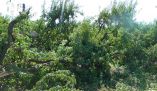 &Sigma;&epsilon; &sigma;&upsilon;&gamma;&kappa;έ&nu;&tau;&rho;&omega;&sigma;&eta; &tau;&omega;&nu; &pi;&lambda;&eta;&gamma;έ&nu;&tau;&omega;&nu; &alpha;&pi;ό &tau;&eta;&nu; &theta;&epsilon;&omicron;&mu;&eta;&nu;ί&alpha; &pi;&alpha;&rho;&alpha;&gamma;&omega;&gamma;ώ&nu; &kappa;&alpha;&lambda;&epsilon;ί &eta; &kappa;&omicron;&iota;&nu;ό&tau;&eta;&tau;&alpha; &Mu;&alpha;&kappa;&rho;&omicron;&chi;&omega;&rho;ί&omicron;&upsilon;