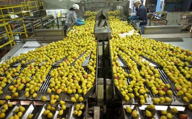 E&iota;&sigma;&alpha;&gamma;&omega;&gamma;&iota;&kappa;ό &epsilon;&rho;&gamma;&alpha;&sigma;&tau;ή&rho;&iota;&omicron; &tau;&omicron;&upsilon; έ&rho;&gamma;&omicron;&upsilon; "SinCE-AFC" &gamma;&iota;&alpha; &tau;&eta;&nu; &kappa;&upsilon;&kappa;&lambda;&iota;&kappa;ή &omicron;&iota;&kappa;&omicron;&nu;&omicron;&mu;ί&alpha; &sigma;&tau;&omicron;&nu; &kappa;&lambda;ά&delta;&omicron; &tau;&eta;&sigmaf; &Alpha;&gamma;&rho;&omicron;&delta;&iota;&alpha;&tau;&rho;&omicron;&phi;ή&sigmaf; &sigma;&tau;&eta;&nu; &Pi;&epsilon;&rho;&iota;&phi;έ&rho;&epsilon;&iota;&alpha; &Kappa;&epsilon;&nu;&tau;&rho;&iota;&kappa;ή&sigmaf; &Mu;&alpha;&kappa;&epsilon;&delta;&omicron;&nu;ί&alpha;&sigmaf;