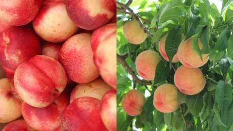 &Pi;ό&tau;&epsilon; &alpha;&nu;&alpha;&kappa;&omicron;&iota;&nu;ώ&nu;&epsilon;&tau;&alpha;&iota; &kappa;&alpha;&iota; &pi;&lambda;&eta;&rho;ώ&nu;&epsilon;&tau;&alpha;&iota; &tau;&omicron; De minimis &sigma;&tau;&omicron;&upsilon;&sigmaf; &rho;&omicron;&delta;&alpha;&kappa;&iota;&nu;&omicron;&pi;&alpha;&rho;&alpha;&gamma;&omega;&gamma;&omicron;ύ&sigmaf;