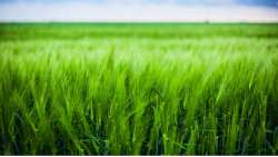 &Pi;ό&tau;&epsilon; &chi;&rho;&epsilon;&iota;ά&zeta;&omicron;&nu;&tau;&alpha;&iota; &nu;&epsilon;&rho;ό &tau;&alpha; &chi;&epsilon;&iota;&mu;&epsilon;&rho;&iota;&nu;ά &sigma;&iota;&tau;&eta;&rho;ά ;