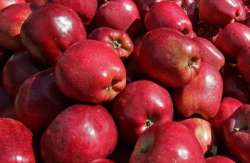 &Tau;&zeta;ά&kappa;&rho;&eta;: &laquo;&Alpha;&pi;&alpha;&iota;&tau;&omicron;ύ&nu;&tau;&alpha;&iota; ά&mu;&epsilon;&sigma;&epsilon;&sigmaf; &epsilon;&nu;έ&rho;&gamma;&epsilon;&iota;&epsilon;&sigmaf; &pi;&rho;&omicron;&kappa;&epsilon;&iota;&mu;έ&nu;&omicron;&upsilon; &nu;&alpha; &delta;&iota;&epsilon;&upsilon;&kappa;&omicron;&lambda;&upsilon;&nu;&theta;&omicron;ύ&nu; &omicron;&iota; &epsilon;&lambda;&lambda;&eta;&nu;&iota;&kappa;έ&sigmaf; &epsilon;&xi;&alpha;&gamma;&omega;&gamma;έ&sigmaf; &alpha;&gamma;&rho;&omicron;&tau;&iota;&kappa;ώ&nu; &pi;&rho;&omicron;ϊό&nu;&tau;&omega;&nu; &sigma;&tau;&eta;&nu; &Alpha;ί&gamma;&upsilon;&pi;&tau;&omicron;&raquo;