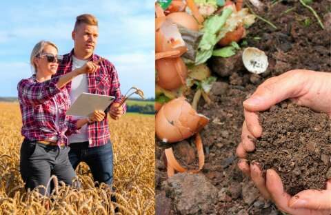 &Sigma;&tau;&alpha; &omicron;&iota;&kappa;&omicron;&lambda;&omicron;&gamma;&iota;&kappa;ά &sigma;&chi;ή&mu;&alpha;&tau;&alpha; &tau;&omicron; 25% &tau;&omega;&nu; &alpha;&gamma;&rho;&omicron;&tau;&iota;&kappa;ώ&nu; &epsilon;&pi;&iota;&delta;&omicron;&tau;ή&sigma;&epsilon;&omega;&nu;
