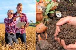 &Sigma;&tau;&alpha; &omicron;&iota;&kappa;&omicron;&lambda;&omicron;&gamma;&iota;&kappa;ά &sigma;&chi;ή&mu;&alpha;&tau;&alpha; &tau;&omicron; 25% &tau;&omega;&nu; &alpha;&gamma;&rho;&omicron;&tau;&iota;&kappa;ώ&nu; &epsilon;&pi;&iota;&delta;&omicron;&tau;ή&sigma;&epsilon;&omega;&nu;