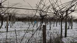 Ά&rho;&tau;&alpha;: &Pi;&rho;&omega;&tau;&omicron;&phi;&alpha;&nu;ή&sigmaf; &chi;&alpha;&lambda;&alpha;&zeta;ό&pi;&tau;&omega;&sigma;&eta; έ&pi;&lambda;&eta;&xi;&epsilon; &tau;&iota;&sigmaf; &kappa;&alpha;&lambda;&lambda;&iota;έ&rho;&gamma;&epsilon;&iota;&epsilon;&sigmaf;