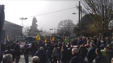 &Kappa;ά&lambda;&epsilon;&sigma;&mu;&alpha; &Alpha;&gamma;&rho;&omicron;&tau;&iota;&kappa;&omicron;ύ &Sigma;&upsilon;&lambda;&lambda;ό&gamma;&omicron;&upsilon; &Nu;ά&omicron;&upsilon;&sigma;&alpha;&sigmaf; &ldquo;&Mu;&alpha;&rho;ί&nu;&omicron;&sigmaf; &Alpha;&nu;&tau;ύ&pi;&alpha;&sigmaf;&rdquo; &gamma;&iota;&alpha; &sigma;&upsilon;&mu;&mu;&epsilon;&tau;&omicron;&chi;ή &sigma;&tau;&eta; &sigma;ύ&sigma;&kappa;&epsilon;&psi;&eta; &sigma;&tau;&eta; &Lambda;ά&rho;&iota;&sigma;&alpha;