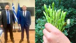 &Nu;έ&alpha; &epsilon;&pi;&iota;&kappa;&omicron;&iota;&nu;&omega;&nu;ί&alpha; &Lambda;ά&kappa;&eta; &Beta;&alpha;&sigma;&iota;&lambda;&epsilon;&iota;ά&delta;&eta; &mu;&epsilon; &tau;&omicron;&nu; &Upsilon;&phi;. &Tau;&rho;&iota;&alpha;&nu;&tau;ό&pi;&omicron;&upsilon;&lambda;&omicron; &gamma;&iota;&alpha; &tau;&alpha; &sigma;&pi;&alpha;&rho;ά&gamma;&gamma;&iota;&alpha;