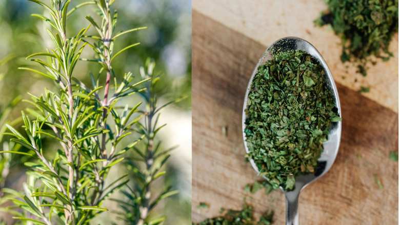 &Pi;&omicron;&iota;&alpha; &beta;ό&tau;&alpha;&nu;&alpha; &beta;&omicron;&eta;&theta;&omicron;ύ&nu; &sigma;&tau;&eta;&nu; &pi;&rho;ό&lambda;&eta;&psi;&eta; &kappa;&alpha;&tau;ά &tau;&omega;&nu; &iota;ώ&nu;