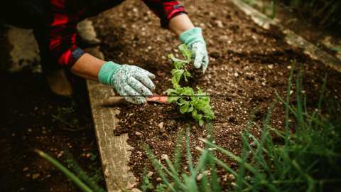 &Tau;&rho;ό&pi;&omicron;&iota; &gamma;&iota;&alpha; &nu;&alpha; έ&chi;&epsilon;&tau;&epsilon; &upsilon;&psi;&eta;&lambda;έ&sigmaf; &alpha;&pi;&omicron;&delta;ό&sigma;&epsilon;&iota;&sigmaf; &sigma;&tau;&omicron; &lambda;&alpha;&chi;&alpha;&nu;ό&kappa;&eta;&pi;&omicron; &sigma;&alpha;&sigmaf; | &Alpha;&gamma;&rho;&omicron;&tau;&iota;&kappa;ά &nu;έ&alpha; IMATHIOTIKIGI.GR