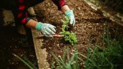 &Tau;&rho;ό&pi;&omicron;&iota; &gamma;&iota;&alpha; &nu;&alpha; έ&chi;&epsilon;&tau;&epsilon; &upsilon;&psi;&eta;&lambda;έ&sigmaf; &alpha;&pi;&omicron;&delta;ό&sigma;&epsilon;&iota;&sigmaf; &sigma;&tau;&omicron; &lambda;&alpha;&chi;&alpha;&nu;ό&kappa;&eta;&pi;&omicron; &sigma;&alpha;&sigmaf; | &Alpha;&gamma;&rho;&omicron;&tau;&iota;&kappa;ά &nu;έ&alpha; IMATHIOTIKIGI.GR