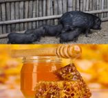 &Delta;. &Sigma;&tau;&alpha;&mu;&epsilon;&nu;ί&tau;&eta;&sigmaf;: &laquo;&Alpha;&nu;&omicron;ί&gamma;&epsilon;&iota; &eta; &pi;&lambda;&alpha;&tau;&phi;ό&rho;&mu;&alpha; &tau;&omega;&nu; &alpha;&iota;&tau;ή&sigma;&epsilon;&omega;&nu; &gamma;&iota;&alpha; &alpha;&pi;&omicron;&zeta;&eta;&mu;&iota;ώ&sigma;&epsilon;&iota;&sigmaf; &sigma;&epsilon; &chi;&omicron;ί&rho;&omicron;, &mu;&alpha;ύ&rho;&omicron; &chi;&omicron;ί&rho;&omicron; &kappa;&alpha;&iota; &mu;έ&lambda;&iota;&raquo;.