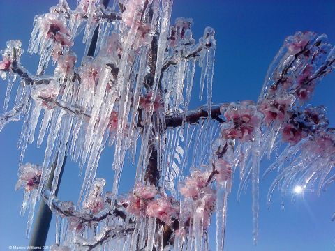 &Delta;ί&kappa;&alpha;&iota;&epsilon;&sigmaf; &kappa;&alpha;&iota; &gamma;&rho;ή&gamma;&omicron;&rho;&epsilon;&sigmaf; &alpha;&pi;&omicron;&zeta;&eta;&mu;&iota;ώ&sigma;&epsilon;&iota;&sigmaf; &sigma;&tau;&omicron;&upsilon;&sigmaf; &pi;&lambda;&eta;&gamma;έ&nu;&tau;&epsilon;&sigmaf; &alpha;&pi;ό &tau;&omicron;&upsilon;&sigmaf; &pi;&alpha;&gamma;&epsilon;&tau;&omicron;ύ&sigmaf; &pi;&alpha;&rho;&alpha;&gamma;&omega;&gamma;&omicron;ύ&sigmaf; &tau;&eta;&sigmaf; &Eta;&mu;&alpha;&theta;ί&alpha;&sigmaf; &alpha;&lambda;&lambda;ά &kappa;&alpha;&iota; &kappa;ή&rho;&upsilon;&xi;&eta; &tau;&omicron;&upsilon; &Nu;&omicron;&mu;&omicron;ύ &sigma;&epsilon; &kappa;&alpha;&tau;ά&sigma;&tau;&alpha;&sigma;&eta; Έ&kappa;&tau;&alpha;&kappa;&tau;&eta;&sigmaf; &Alpha;&nu;ά&gamma;&kappa;&eta;&sigmaf; &zeta;&eta;&tau;ά&epsilon;&iota; &omicron; &Lambda;. &Tau;&sigma;&alpha;&beta;&delta;&alpha;&rho;ί&delta;&eta;&sigmaf;