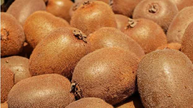 &Tau;&omicron; &epsilon;&lambda;&lambda;&eta;&nu;&iota;&kappa;ό &alpha;&kappa;&tau;&iota;&nu;ί&delta;&iota;&omicron; &epsilon;&nu;&iota;&sigma;&chi;ύ&epsilon;&iota; &tau;&eta; &theta;έ&sigma;&eta; &tau;&omicron;&upsilon; &sigma;&tau;&iota;&sigmaf; &pi;&alpha;&gamma;&kappa;ό&sigma;&mu;&iota;&epsilon;&sigmaf; &alpha;&gamma;&omicron;&rho;έ&sigmaf;