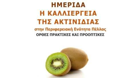 &Epsilon;&nu;&eta;&mu;&epsilon;&rho;&omega;&tau;&iota;&kappa;ή &Eta;&mu;&epsilon;&rho;ί&delta;&alpha; &mu;&epsilon; &Theta;έ&mu;&alpha; "&Eta; &kappa;&alpha;&lambda;&lambda;&iota;έ&rho;&gamma;&epsilon;&iota;&alpha; &tau;&eta;&sigmaf; &Alpha;&kappa;&tau;&iota;&nu;&iota;&delta;&iota;ά&sigmaf; &sigma;&tau;&eta;&nu; &Pi;.&Epsilon;.&Pi;έ&lambda;&lambda;&alpha;&sigmaf;, &Omicron;&rho;&theta;έ&sigmaf; &pi;&rho;&alpha;&kappa;&tau;&iota;&kappa;έ&sigmaf; &kappa;&alpha;&iota; &pi;&rho;&omicron;&omicron;&pi;&tau;&iota;&kappa;έ&sigmaf;"