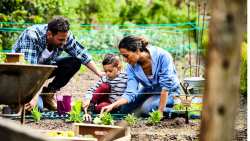 &Sigma;&upsilon;&mu;&beta;&omicron;&upsilon;&lambda;έ&sigmaf; &gamma;&iota;&alpha; &tau;&omicron; &pi;&omega;&sigmaf; &nu;&alpha; &pi;&rho;&omicron;&epsilon;&tau;&omicron;&iota;&mu;ά&sigma;&epsilon;&tau;&epsilon; &tau;&omicron;&nu; &kappa;ή&pi;&omicron; &sigma;&alpha;&sigmaf;