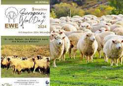 &Omicron;&iota; &nu;έ&omicron;&iota; &delta;&rho;ό&mu;&omicron;&iota; &tau;&omicron;&upsilon; &mu;&alpha;&lambda;&lambda;&iota;&omicron;ύ &pi;&rho;&omicron;&sigmaf; έ&nu;&alpha; &beta;&iota;ώ&sigma;&iota;&mu;&omicron; &mu;έ&lambda;&lambda;&omicron;&nu;