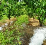 &Epsilon;ί&nu;&alpha;&iota; &sigma;&omega;&sigma;&tau;ό &nu;&alpha; &pi;&omicron;&tau;ί&zeta;&omicron;&upsilon;&mu;&epsilon; &kappa;&alpha;&tau;ά &tau;&eta; &delta;&iota;ά&rho;&kappa;&epsilon;&iota;&alpha; &kappa;&alpha;ύ&sigma;&omega;&nu;&alpha;; - &Gamma;&iota;&alpha;&tau;ί &omicron;&iota; 38&omicron; C &tau;&omicron;&nu; &Iota;&omicron;ύ&nu;&iota;&omicron; &epsilon;ί&nu;&alpha;&iota; &pi;&omicron;&lambda;ύ &pi;&iota;&omicron; &kappa;&alpha;&tau;&alpha;&sigma;&tau;&rho;&omicron;&phi;&iota;&kappa;&omicron;ί &alpha;&pi;&rsquo; ό&tau;&iota; &tau;&omicron;&nu; &Alpha;ύ&gamma;&omicron;&upsilon;&sigma;&tau;&omicron;;