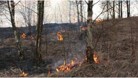&Upsilon;&pi;&omicron;&upsilon;&rho;&gamma;&iota;&kappa;ή &alpha;&pi;ό&phi;&alpha;&sigma;&eta; &rho;ύ&theta;&mu;&iota;&sigma;&eta;&sigmaf; &kappa;&alpha;&iota; &alpha;&nu;&alpha;&sigma;&tau;&omicron;&lambda;ή&sigmaf; &pi;&lambda;&eta;&rho;&omega;&mu;ή&sigmaf; &alpha;&sigma;&phi;&alpha;&lambda;&iota;&sigma;&tau;&iota;&kappa;ώ&nu; &epsilon;&iota;&sigma;&phi;&omicron;&rho;ώ&nu; &gamma;&iota;&alpha; &pi;&lambda;&eta;&gamma;έ&nu;&tau;&epsilon;&sigmaf; &alpha;&pi;ό &tau;&iota;&sigmaf; &pi;&upsilon;&rho;&kappa;&alpha;&gamma;&iota;έ&sigmaf;