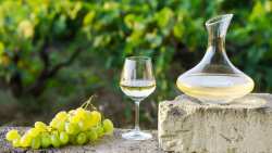 &Eta; &Sigma;ά&mu;&omicron;&sigmaf; &kappa;&alpha;&iota; &tau;&alpha; &laquo;&kappa;&rho;&alpha;&sigma;&iota;ά &tau;&omicron;&upsilon; ή&lambda;&iota;&omicron;&upsilon;&raquo; &tau;&eta;&sigmaf; &Epsilon;&upsilon;&rho;ώ&pi;&eta;&sigmaf; &upsilon;&pi;&omicron;&psi;ή&phi;&iota;&alpha; &gamma;&iota;&alpha; &alpha;&nu;&alpha;&gamma;&nu;ώ&rho;&iota;&sigma;&eta; &alpha;&pi;ό &tau;&eta;&nu; Unesco