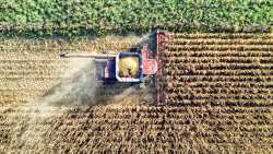 &Xi;&epsilon;&mu;&pi;&lambda;&omicron;&kappa;ά&rho;&omicron;&upsilon;&nu; &omicron;&iota; &alpha;&gamma;&rho;&omicron;&tau;&iota;&kappa;έ&sigmaf; &epsilon;&pi;&iota;&delta;&omicron;&tau;ή&sigma;&epsilon;&iota;&sigmaf;: &Pi;ό&tau;&epsilon; &pi;&lambda;&eta;&rho;ώ&nu;&omicron;&nu;&tau;&alpha;&iota; 70% &kappa;&alpha;&iota; 30% &tau;&eta;&sigmaf; &beta;&alpha;&sigma;&iota;&kappa;ή&sigmaf; &epsilon;&nu;ί&sigma;&chi;&upsilon;&sigma;&eta;&sigmaf;