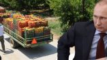 B. &Pi;&omicron;ύ&tau;&iota;&nu;: "&Pi;&rho;ά&sigma;&iota;&nu;&omicron;&iota; &delta;&iota;ά&delta;&rho;&omicron;&mu;&omicron;&iota;", &chi;&omega;&rho;ί&sigmaf; &epsilon;&mu;&pi;&omicron;&rho;&iota;&kappa;&omicron;ύ&sigmaf; &pi;&omicron;&lambda;έ&mu;&omicron;&upsilon;&sigmaf; &kappa;&alpha;&iota; &kappa;&upsilon;&rho;ώ&sigma;&epsilon;&iota;&sigmaf; (&Epsilon;&mu;&pi;ά&rho;&gamma;&kappa;&omicron;) - &Epsilon;&kappa;&tau;ί&mu;&eta;&sigma;&eta; ό&tau;&iota; &eta; &pi;&alpha;&gamma;&kappa;ό&sigma;&mu;&iota;&alpha; &alpha;&nu;&epsilon;&rho;&gamma;ί&alpha; &theta;&alpha; &xi;&epsilon;&pi;&epsilon;&rho;ά&sigma;&epsilon;&iota; &tau;&alpha; &epsilon;&pi;ί&pi;&epsilon;&delta;&alpha; &tau;&omicron;&upsilon; 2009