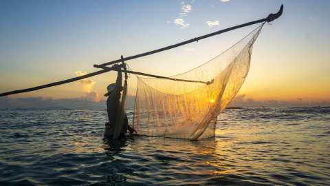 &Tau;&sigma;&iota;ά&rho;&alpha;&sigmaf;: &Sigma;&tau;ή&rho;&iota;&xi;&eta; &tau;&omicron;&upsilon; &pi;&rho;&omega;&tau;&omicron;&gamma;&epsilon;&nu;&omicron;ύ&sigmaf; &tau;&omicron;&mu;έ&alpha; &epsilon;&nu; &mu;έ&sigma;&omega; &pi;&omicron;&lambda;έ&mu;&omicron;&upsilon; - &Tau;&omicron; &epsilon;&nu;&epsilon;&rho;&gamma;&epsilon;&iota;&alpha;&kappa;ό &kappa;ό&sigma;&tau;&omicron;&sigmaf;, &mu;&epsilon;&gamma;ά&lambda;&omicron; &zeta;&eta;&tau;&omicron;ύ&mu;&epsilon;&nu;&omicron; &gamma;&iota;&alpha; &tau;&omicron;&upsilon;&sigmaf; &alpha;&lambda;&iota;&epsilon;ί&sigmaf;