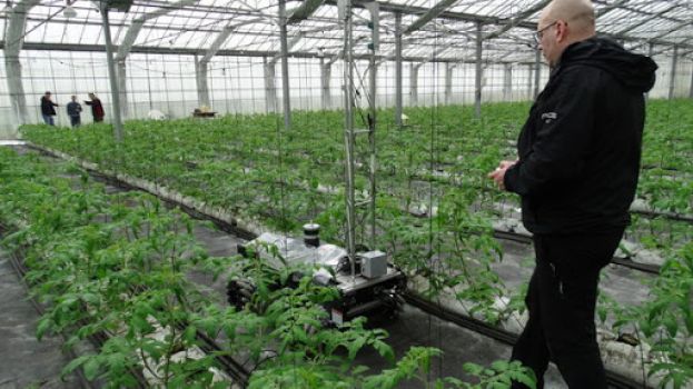 &Alpha;&upsilon;&tau;ό&nu;&omicron;&mu;&omicron; &rho;&omicron;&mu;&pi;ό&tau; &iota;&kappa;&alpha;&nu;ό &nu;&alpha; &alpha;&nu;&iota;&chi;&nu;&epsilon;ύ&epsilon;&iota; &pi;&alpha;&rho;ά&sigma;&iota;&tau;&alpha; &sigma;&epsilon; &phi;&upsilon;&tau;ά (&beta;ί&nu;&tau;&epsilon;&omicron;)