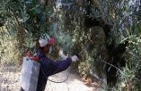 &Sigma;&tau;. &Alpha;&rho;&alpha;&chi;&omega;&beta;ί&tau;&eta;&sigmaf;: &Chi;&rho;&epsilon;&iota;ά&zeta;&epsilon;&tau;&alpha;&iota; &alpha;ύ&xi;&eta;&sigma;&eta; &pi;&rho;&omicron;ϋ&pi;&omicron;&lambda;&omicron;&gamma;&iota;&sigma;&mu;&omicron;ύ &sigma;&tau;&eta;&nu; &delta;&alpha;&kappa;&omicron;&kappa;&tau;&omicron;&nu;ί&alpha; &gamma;&iota;&alpha; &nu;&alpha; &pi;&rho;&omicron;&sigma;&tau;&alpha;&tau;&epsilon;&upsilon;&tau;&epsilon;ί &eta; &epsilon;&lambda;&alpha;&iota;&omicron;&pi;&alpha;&rho;&alpha;&gamma;&omega;&gamma;ή